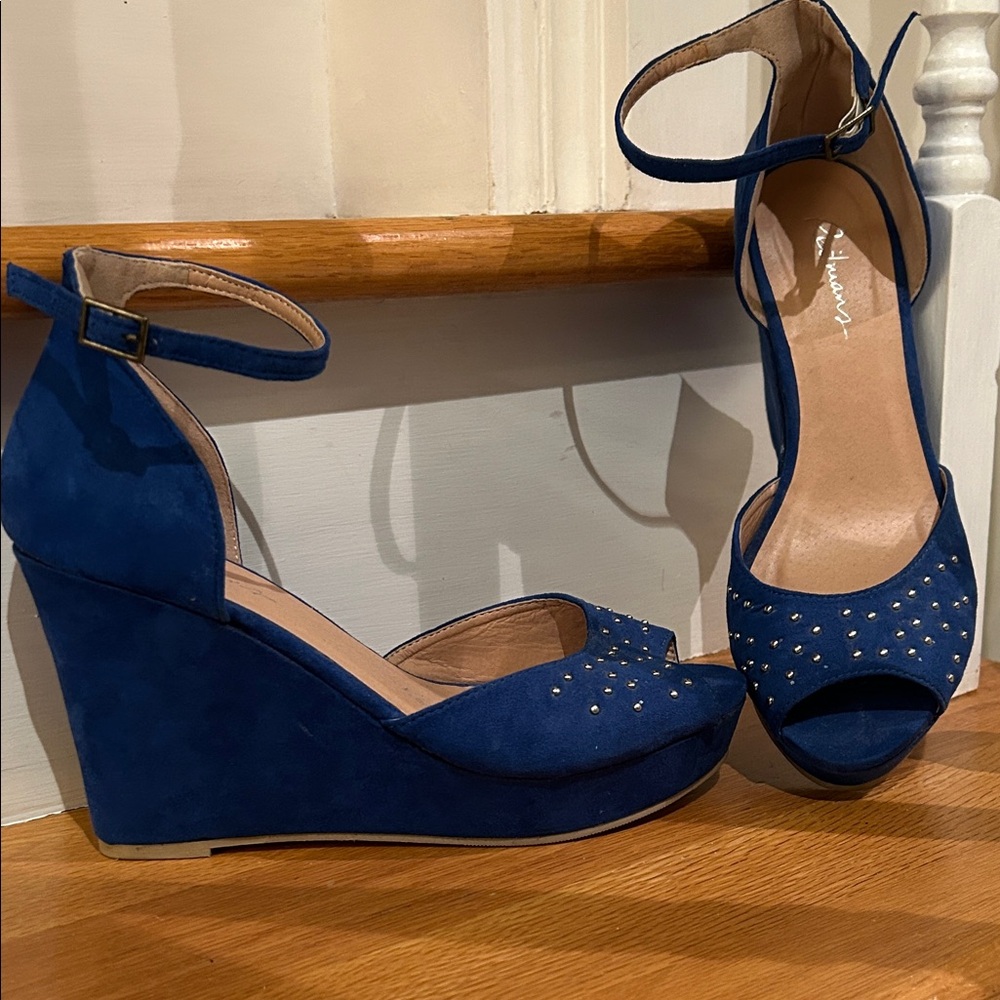 Reitmans…Elegant Blue Wedge Heels